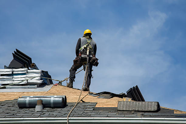 Professional Roof Replacement technician working in Dunlow, WV